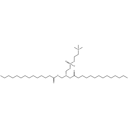 DMPC,二肉豆蔻酰磷脂酰胆碱