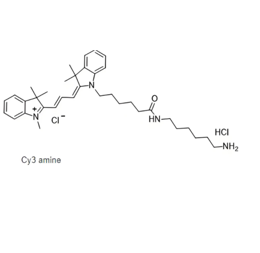 Cy3-NH2，三甲川花菁染料-氨基