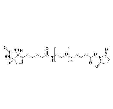 Biotin-PEG-SVA，生物素-聚乙二醇-琥珀酰亚胺戊酸酯