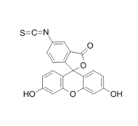 FITC-Concanavalin A，异硫氰酸荧光素-刀豆球蛋白A
