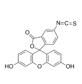 FITC-cellulose，异硫氰酸荧光素标记纤维素