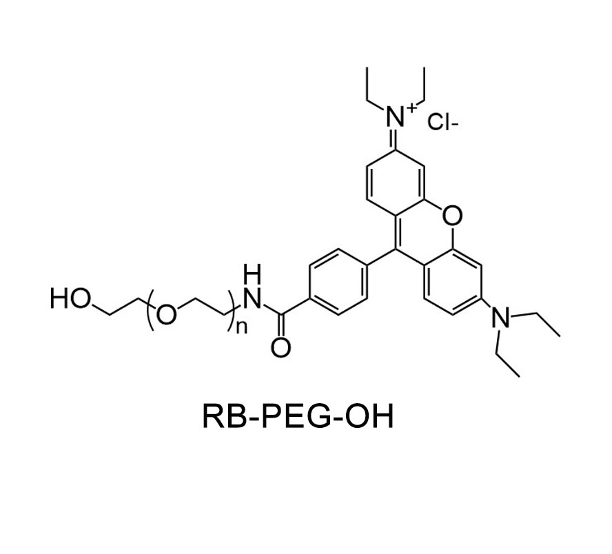 RB-PEG-OH，罗丹明B-聚乙二醇-羟基
