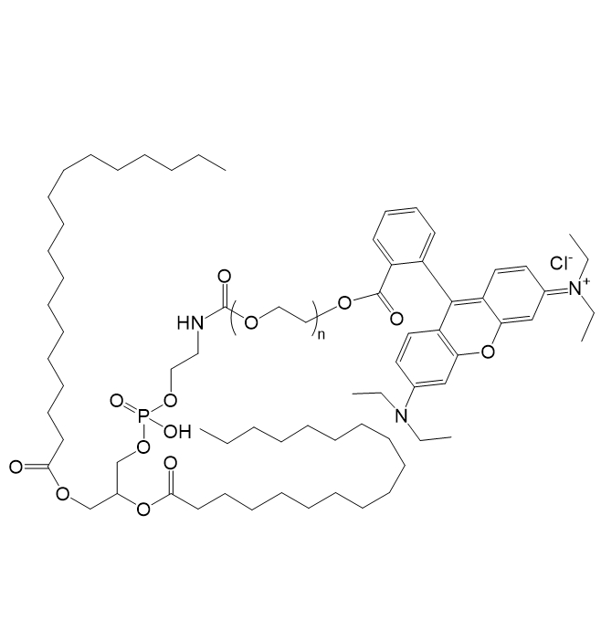 DSPE-PEG-RB，磷脂-聚乙二醇-罗丹明B 