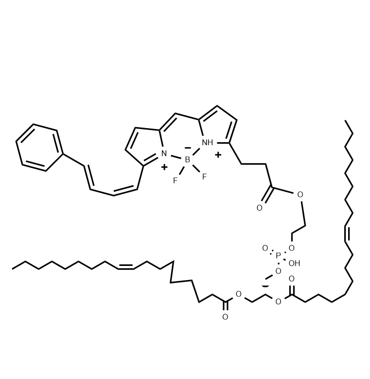 DOPE-NBD，磷脂-硝基苯恶二唑