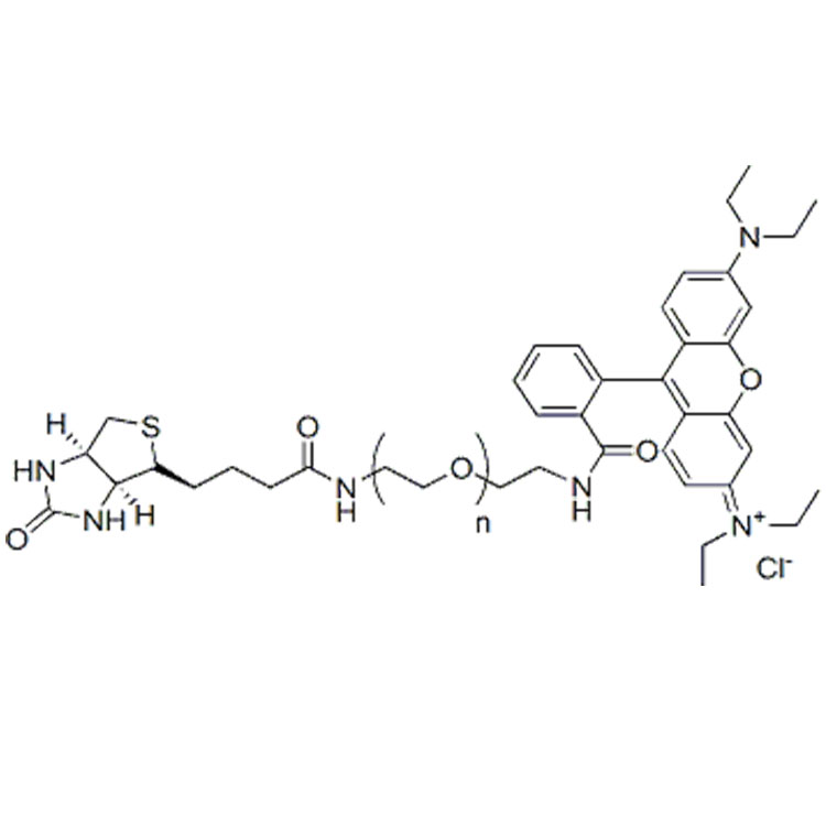 RB-PEG-Biotin，罗丹明B-聚乙二醇-生物素