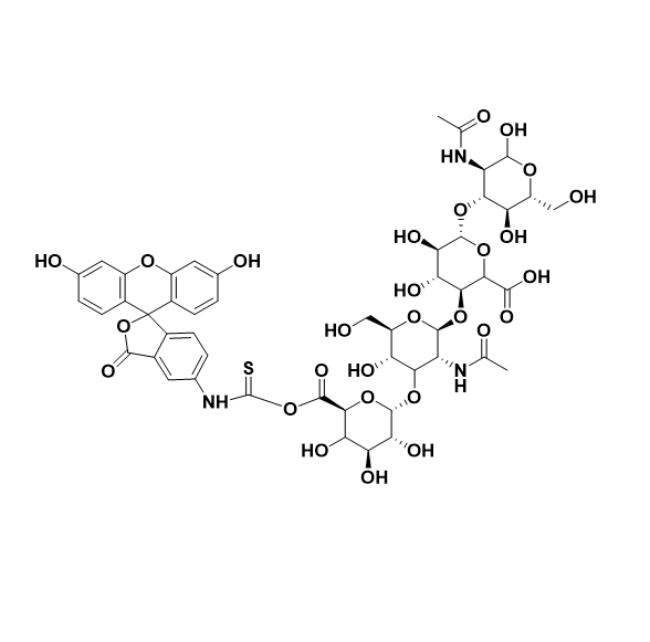 Hyaluronate-Fluorescein，HA-FITC，绿色荧光标记透明